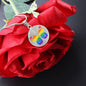 Pride Butterfly