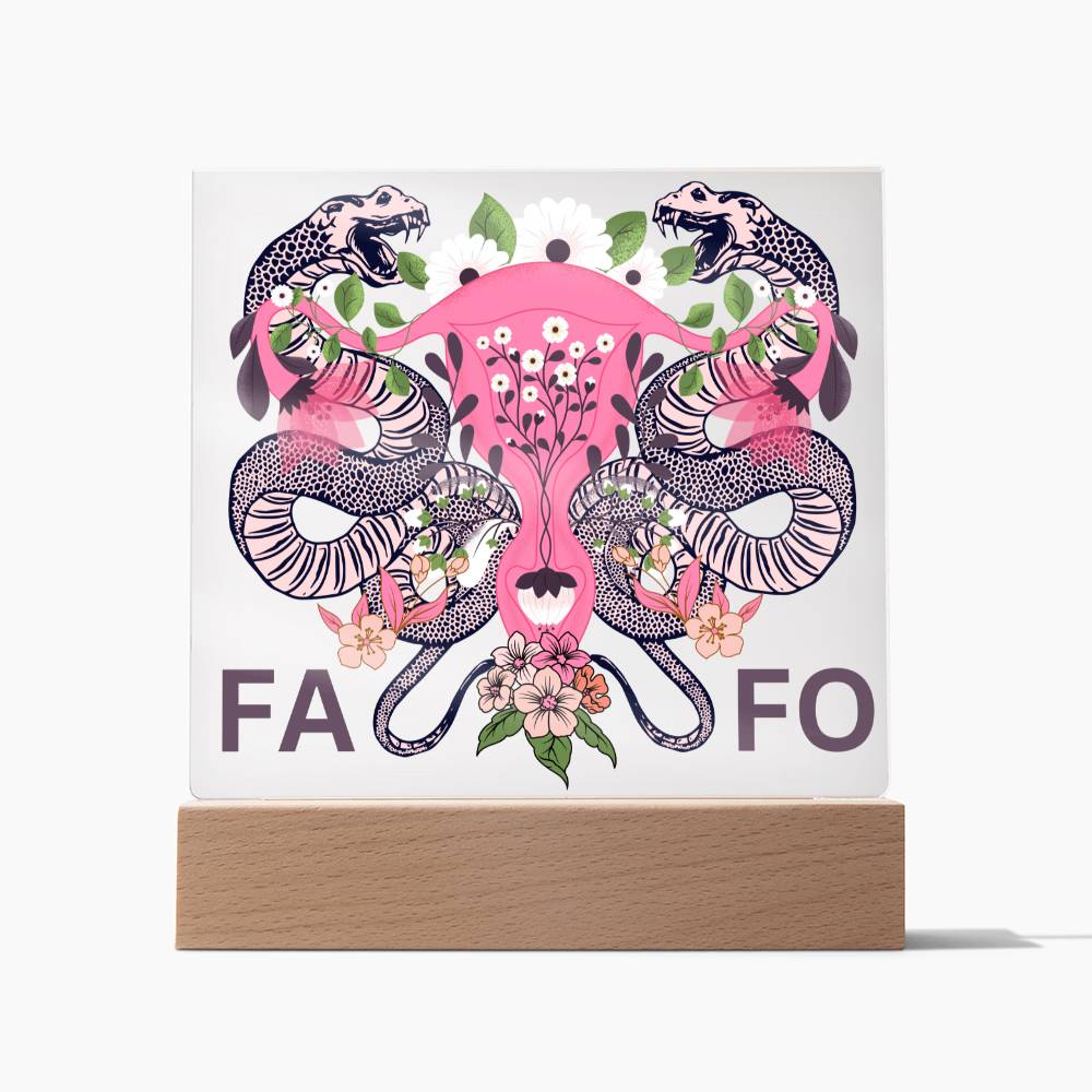 FAFO Women's Reproductive Rights LED Lighted Plaque