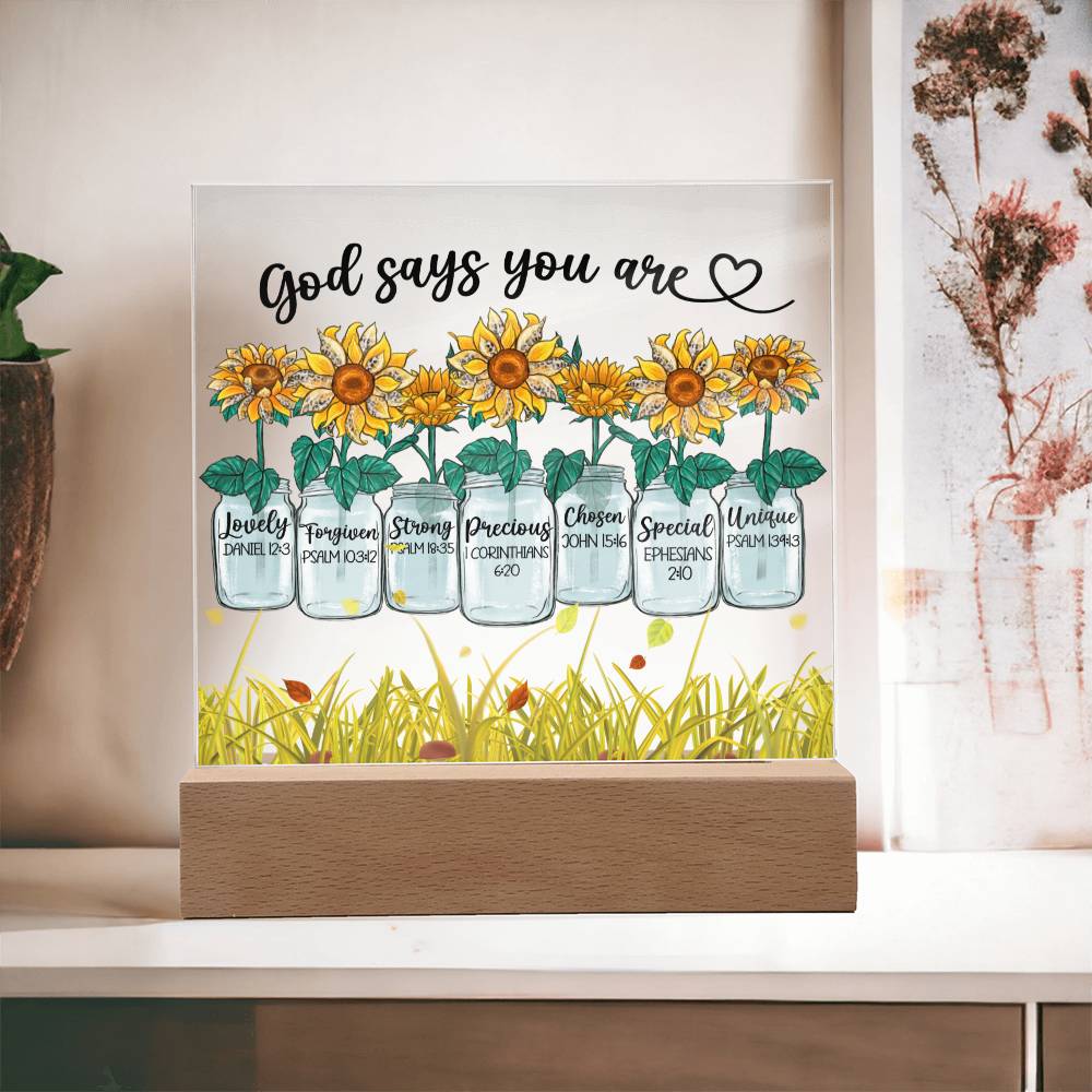 God Says You Are