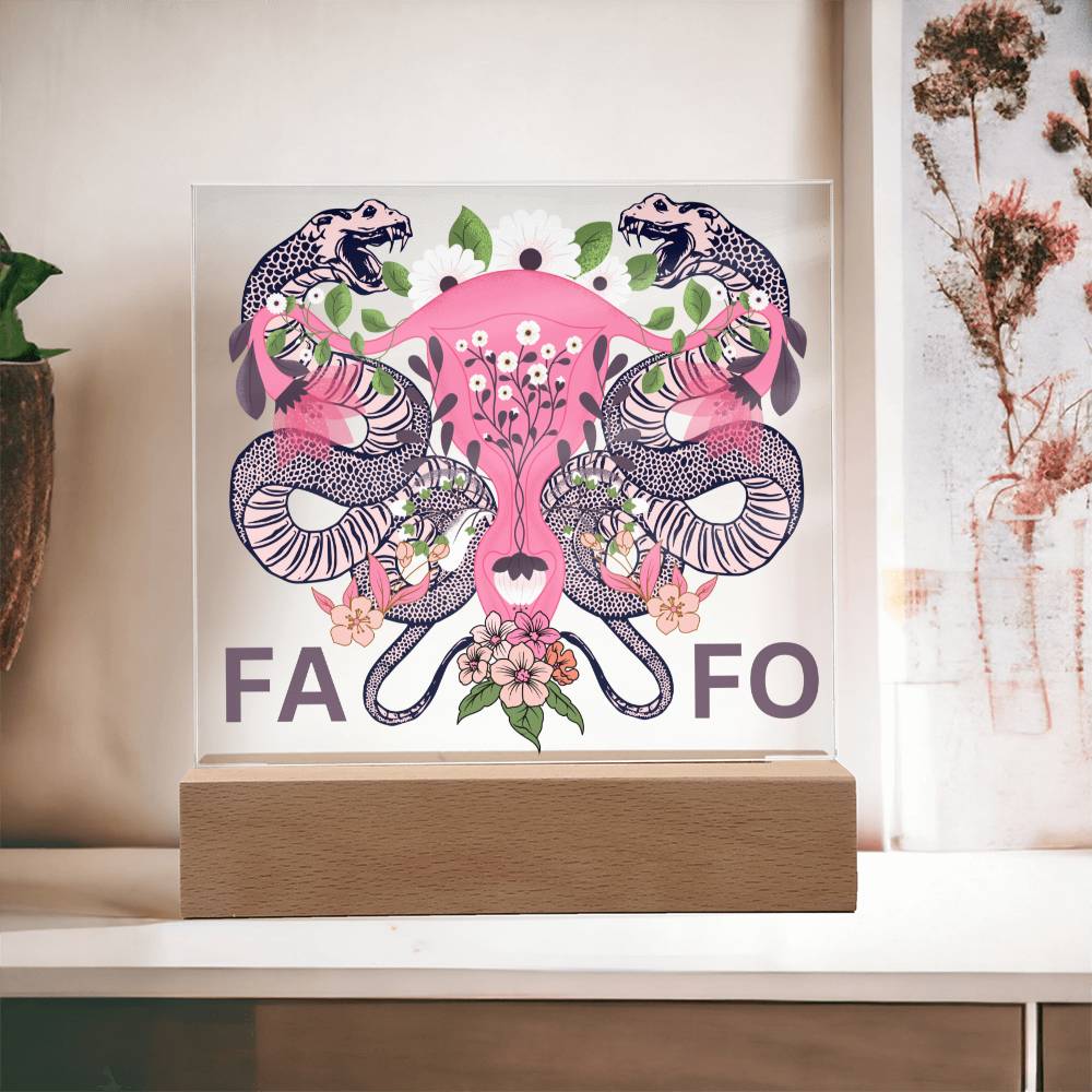FAFO Women's Reproductive Rights LED Lighted Plaque
