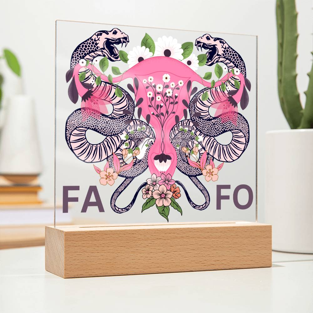 FAFO Women's Reproductive Rights LED Lighted Plaque