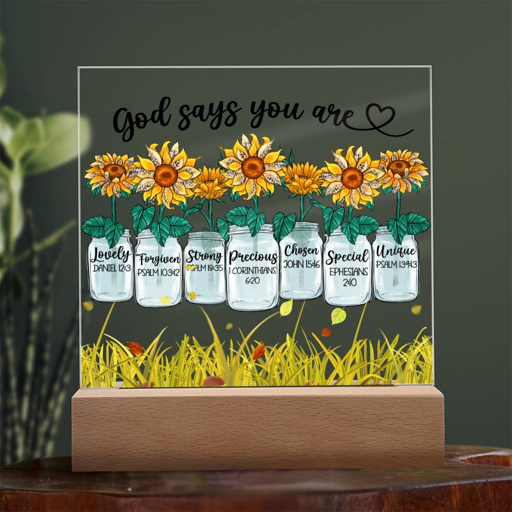 God Says You Are