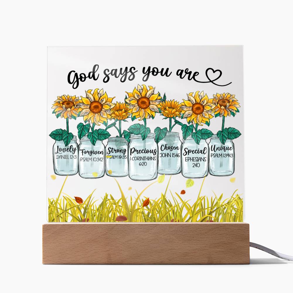 God Says You Are