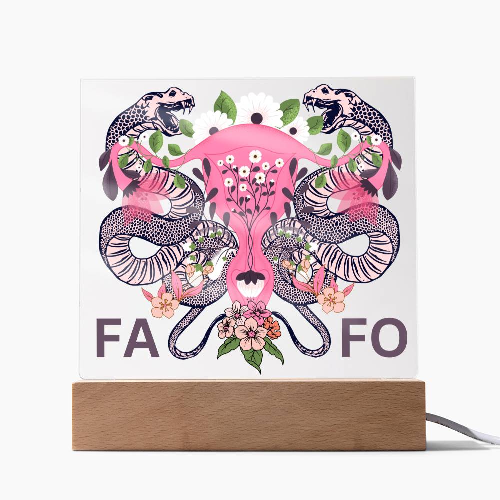 FAFO Women's Reproductive Rights LED Lighted Plaque