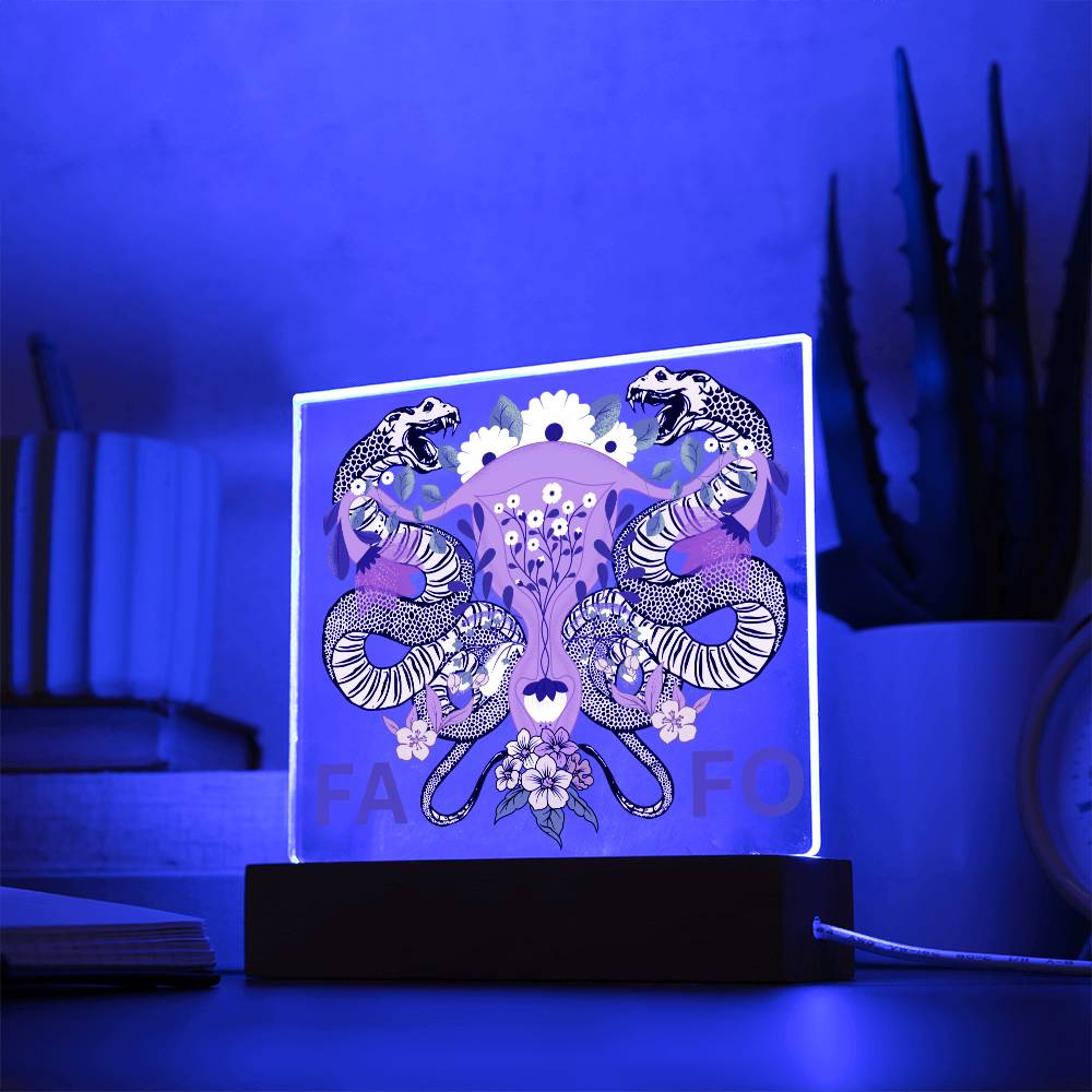 FAFO Women's Reproductive Rights LED Lighted Plaque