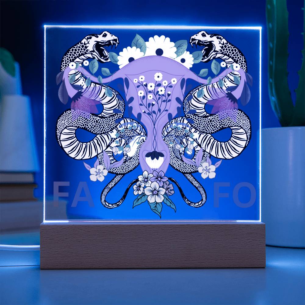 FAFO Women's Reproductive Rights LED Lighted Plaque