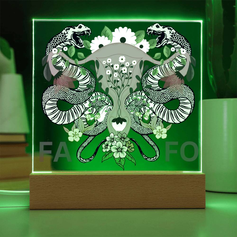 FAFO Women's Reproductive Rights LED Lighted Plaque