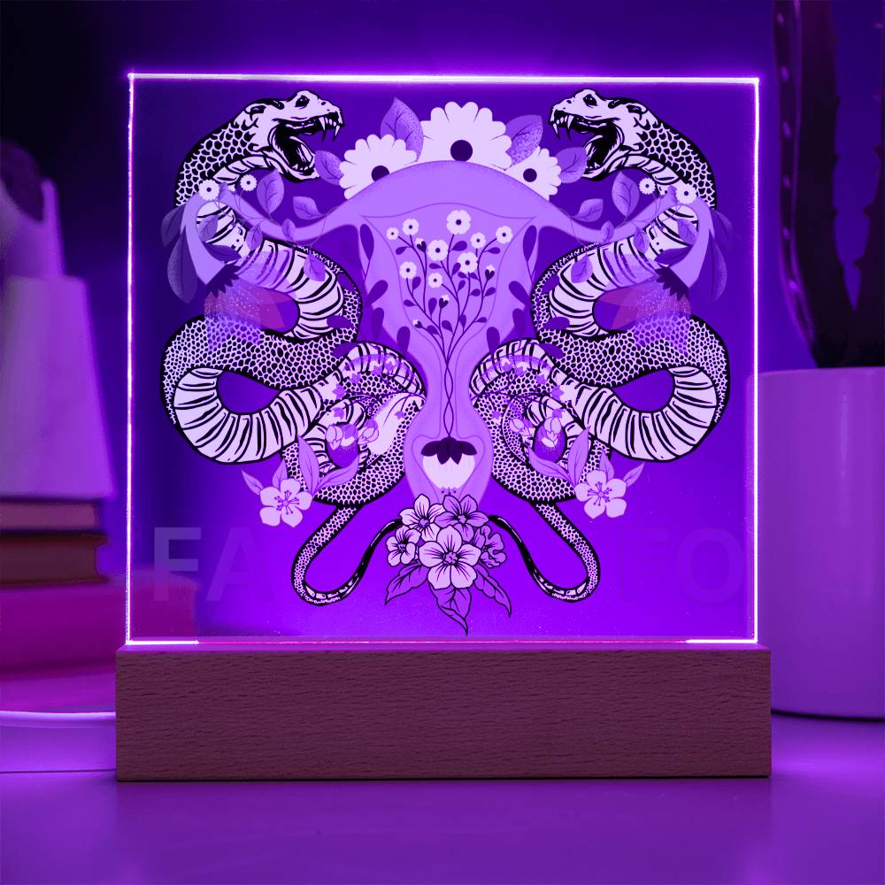 FAFO Women's Reproductive Rights LED Lighted Plaque