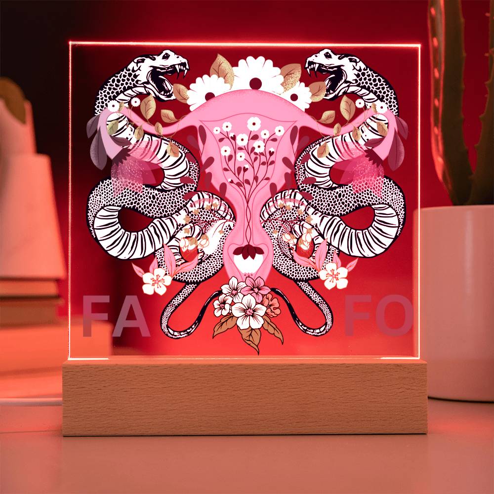 FAFO Women's Reproductive Rights LED Lighted Plaque