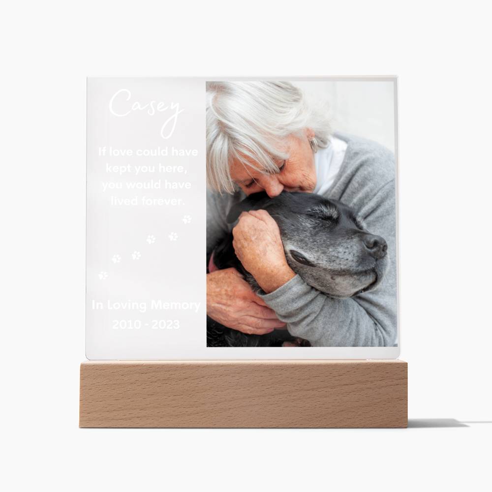 Personalized Pet Memorial LED Lighted Photo Plaque