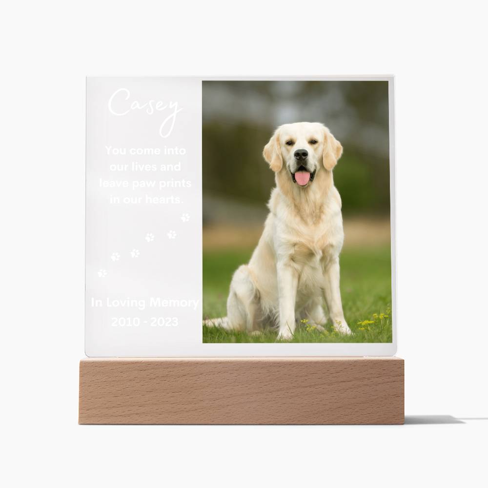 Personalized Pet Memorial LED Lighted Photo Plaque