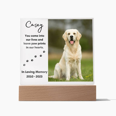 Personalized Pet Memorial LED Lighted Photo Plaque