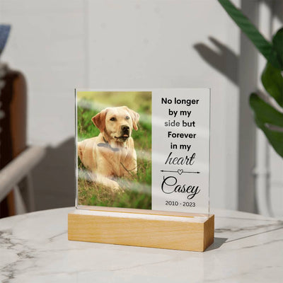 Pet Photo Memorial LED Lighted Plaque