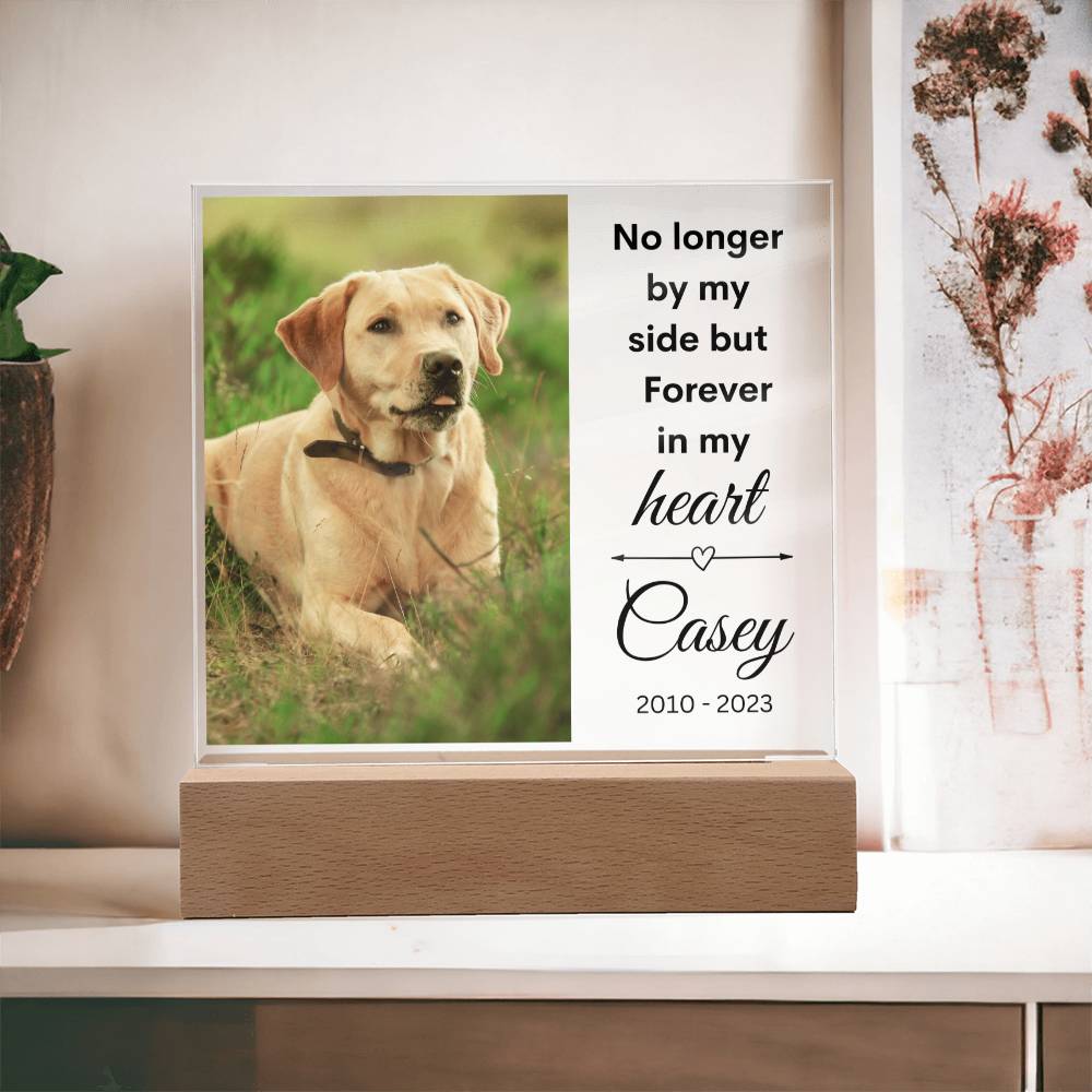 Pet Photo Memorial LED Lighted Plaque