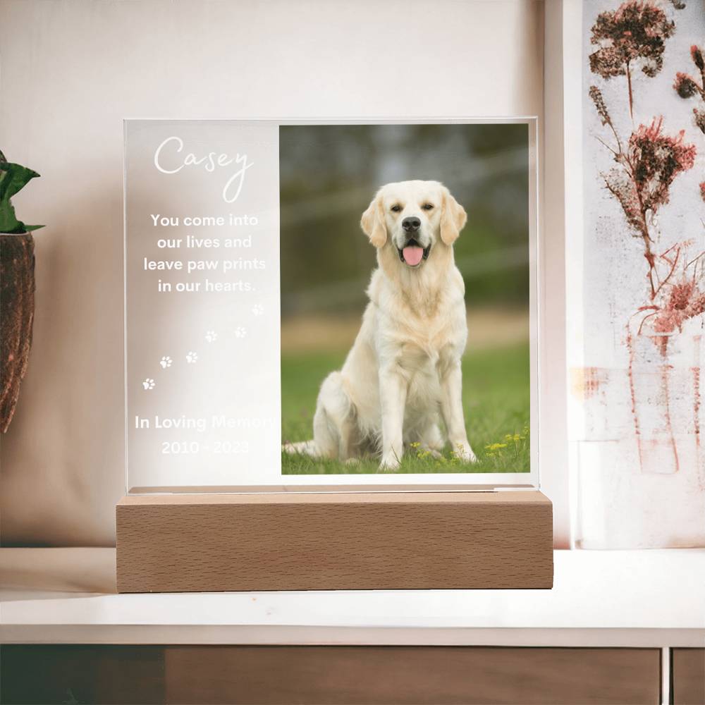 Personalized Pet Memorial LED Lighted Photo Plaque