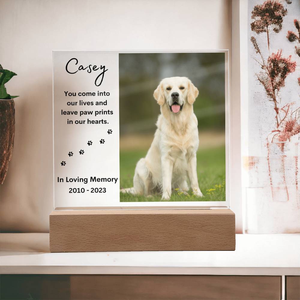 Personalized Pet Memorial LED Lighted Photo Plaque