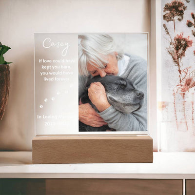 Personalized Pet Memorial LED Lighted Photo Plaque