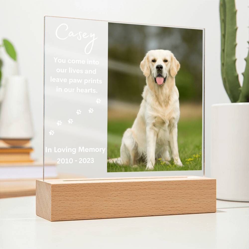 Personalized Pet Memorial LED Lighted Photo Plaque