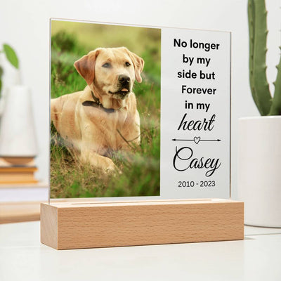 Pet Photo Memorial LED Lighted Plaque