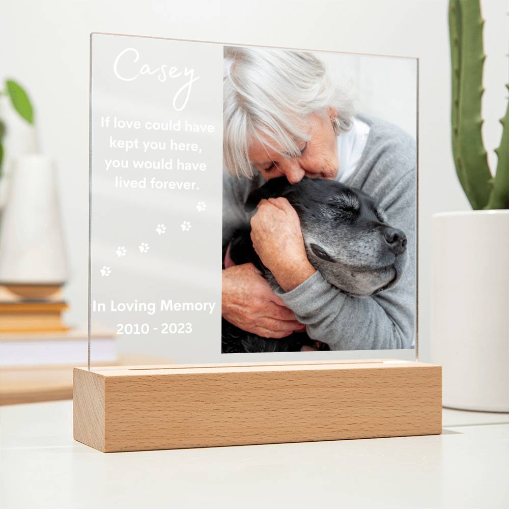 Personalized Pet Memorial LED Lighted Photo Plaque