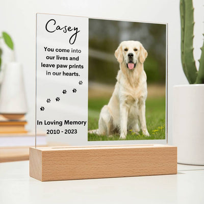 Personalized Pet Memorial LED Lighted Photo Plaque