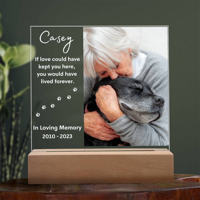 Personalized Pet Memorial LED Lighted Photo Plaque