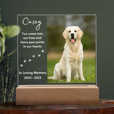 Personalized Pet Memorial LED Lighted Photo Plaque