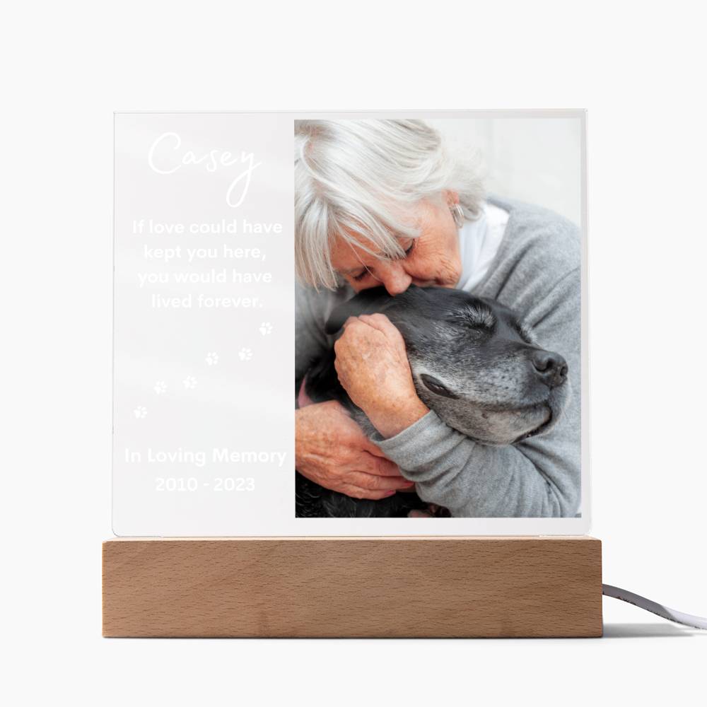 Personalized Pet Memorial LED Lighted Photo Plaque