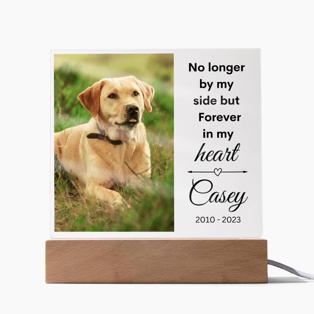 Pet Photo Memorial LED Lighted Plaque