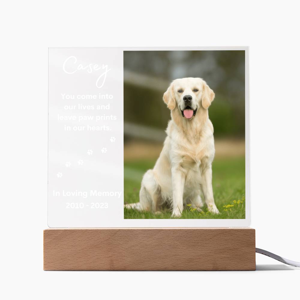 Personalized Pet Memorial LED Lighted Photo Plaque