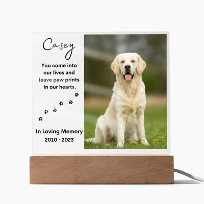 Personalized Pet Memorial LED Lighted Photo Plaque