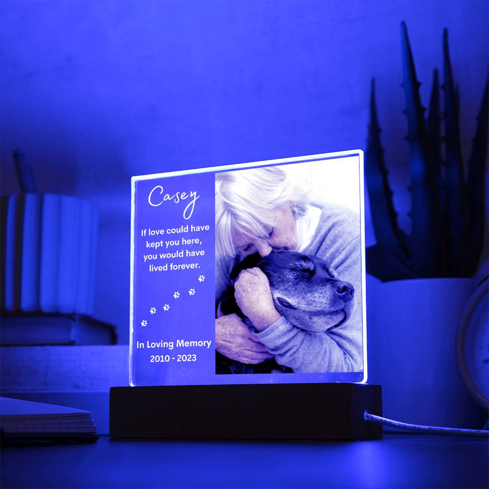 Personalized Pet Memorial LED Lighted Photo Plaque