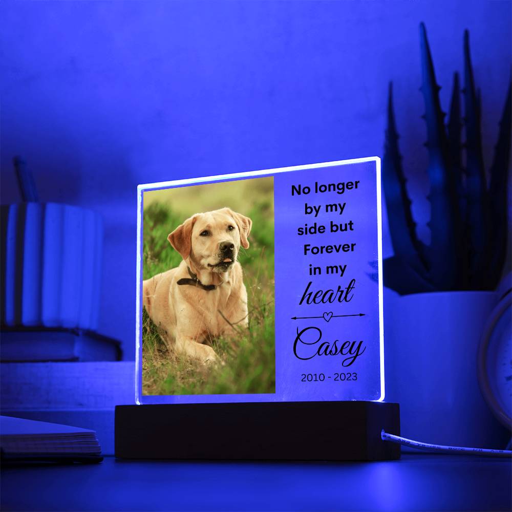 Pet Photo Memorial LED Lighted Plaque