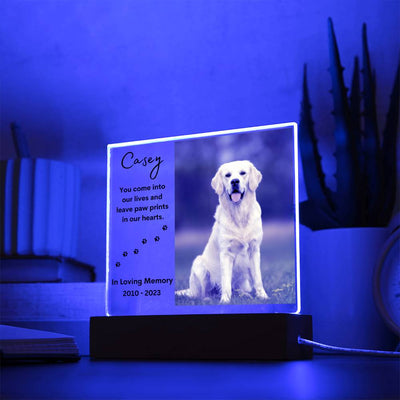 Personalized Pet Memorial LED Lighted Photo Plaque