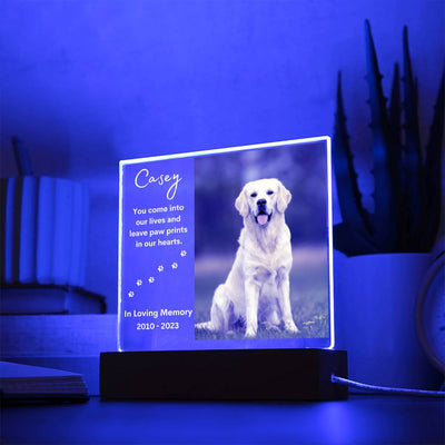 Personalized Pet Memorial LED Lighted Photo Plaque