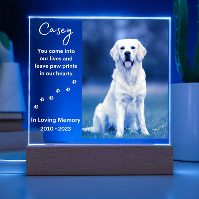 Personalized Pet Memorial LED Lighted Photo Plaque