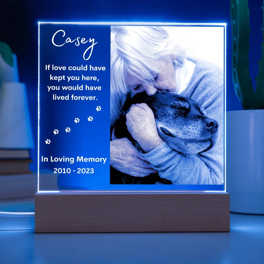 Personalized Pet Memorial LED Lighted Photo Plaque