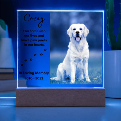 Personalized Pet Memorial LED Lighted Photo Plaque