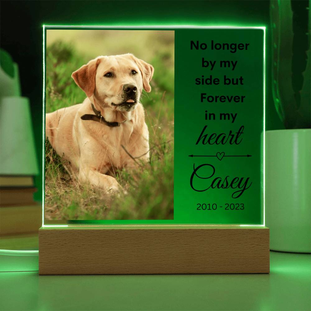 Pet Photo Memorial LED Lighted Plaque