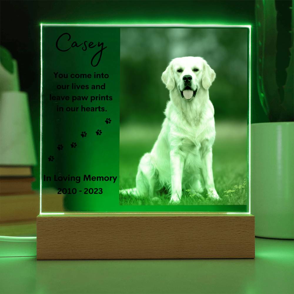 Personalized Pet Memorial LED Lighted Photo Plaque