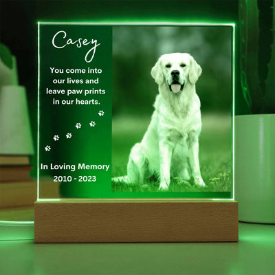 Personalized Pet Memorial LED Lighted Photo Plaque