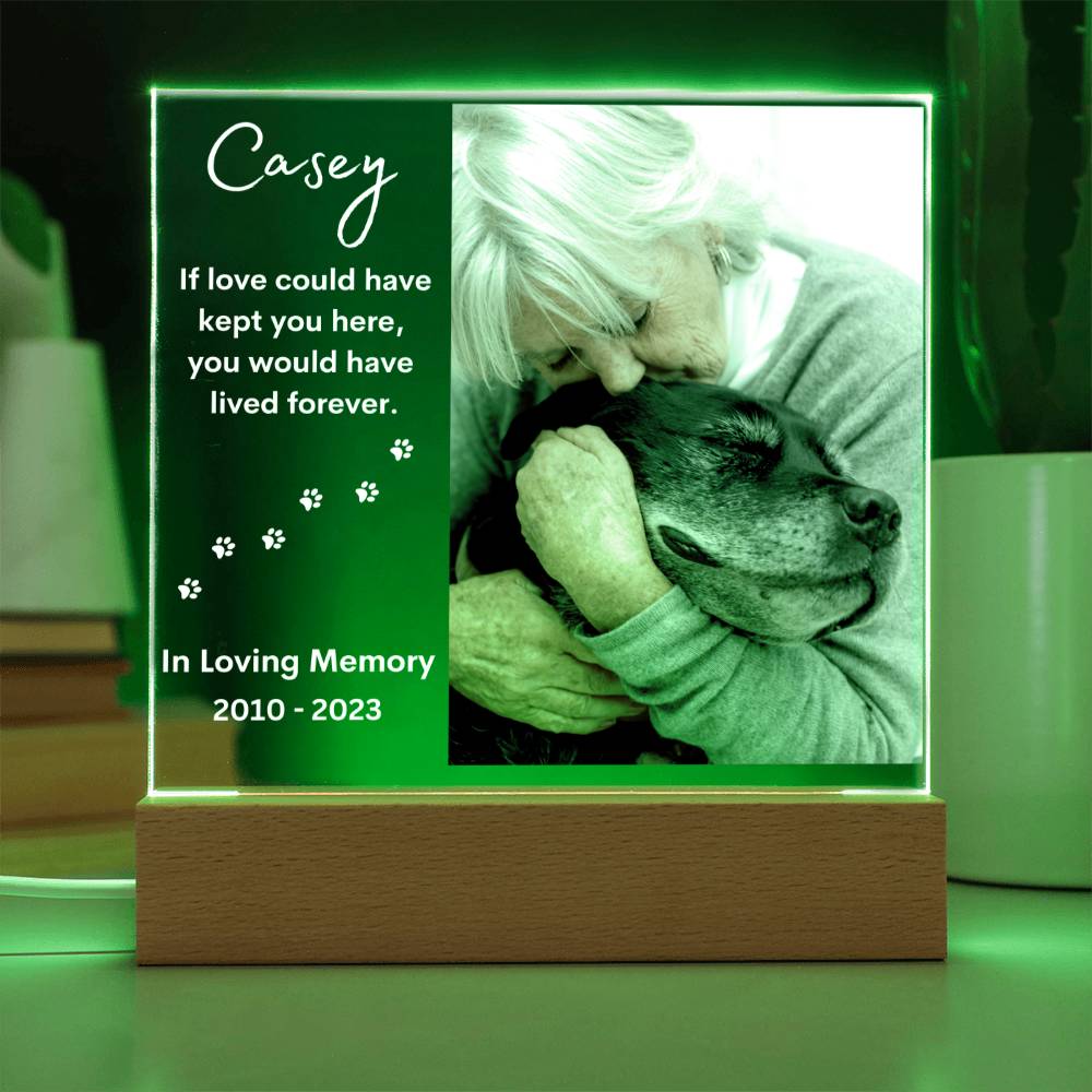 Personalized Pet Memorial LED Lighted Photo Plaque