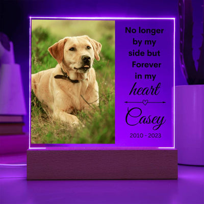 Pet Photo Memorial LED Lighted Plaque