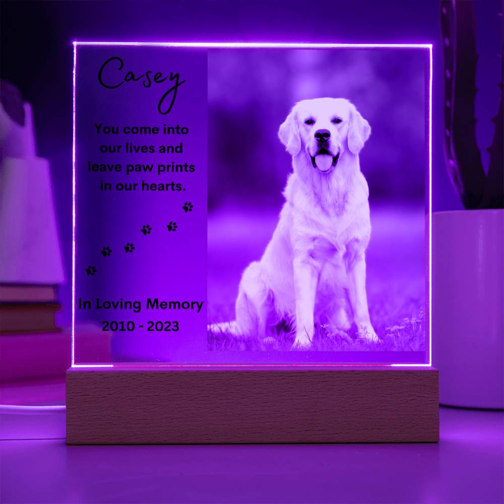 Personalized Pet Memorial LED Lighted Photo Plaque