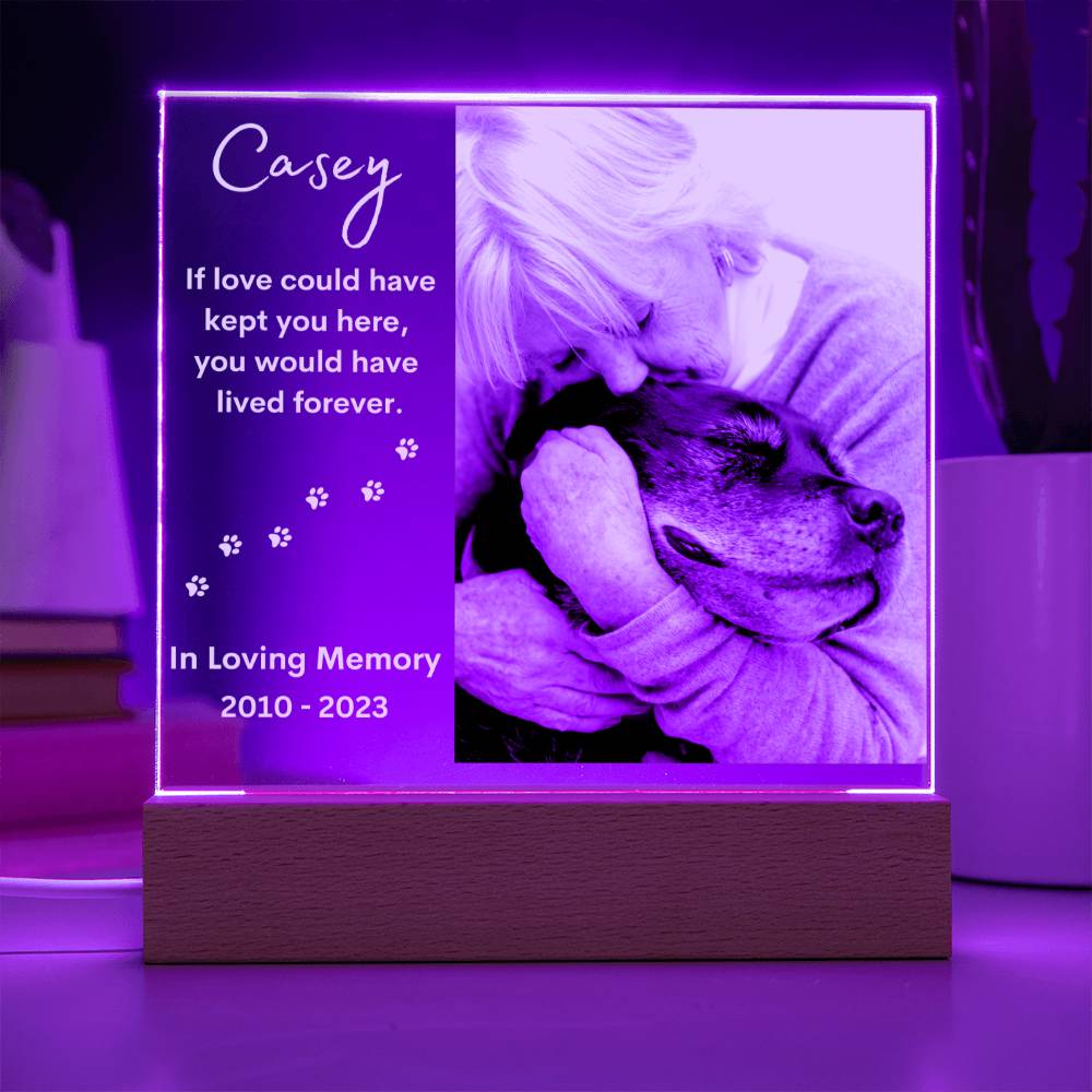 Personalized Pet Memorial LED Lighted Photo Plaque