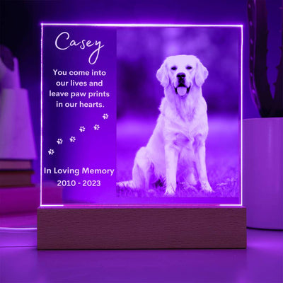 Personalized Pet Memorial LED Lighted Photo Plaque