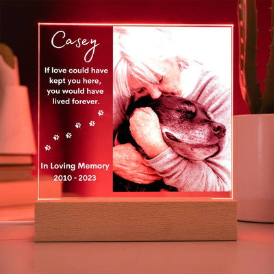 Personalized Pet Memorial LED Lighted Photo Plaque