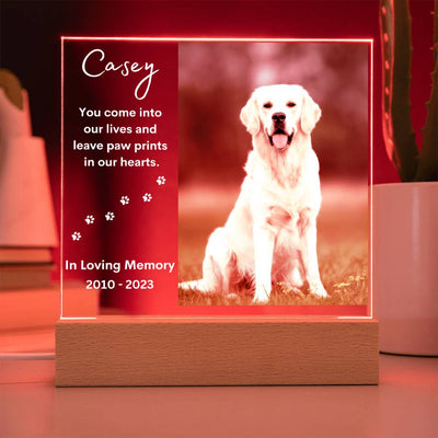 Personalized Pet Memorial LED Lighted Photo Plaque