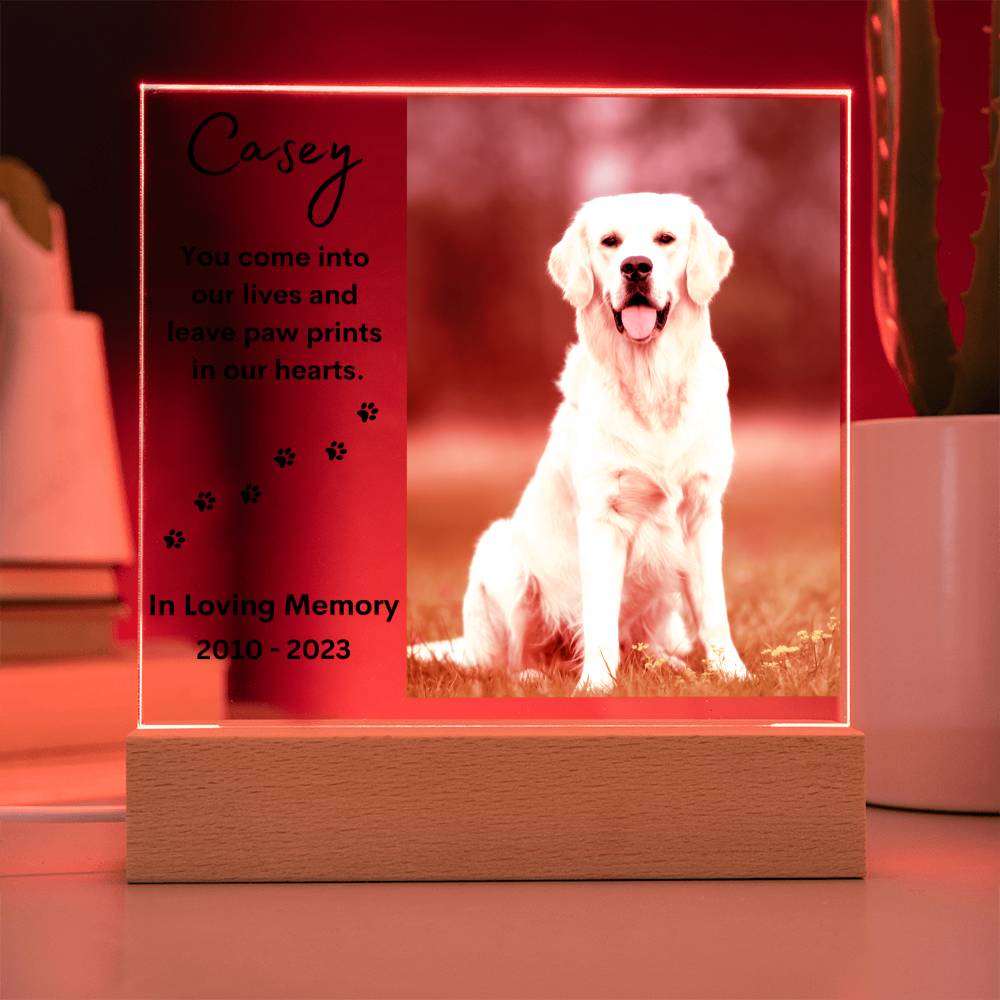 Personalized Pet Memorial LED Lighted Photo Plaque