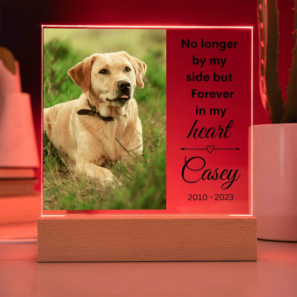 Pet Photo Memorial LED Lighted Plaque